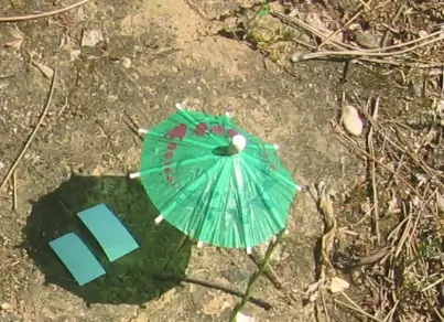 Parasol