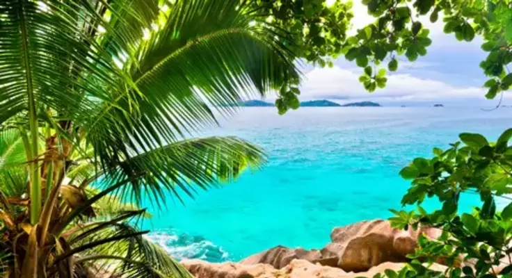 ille paradisiaque