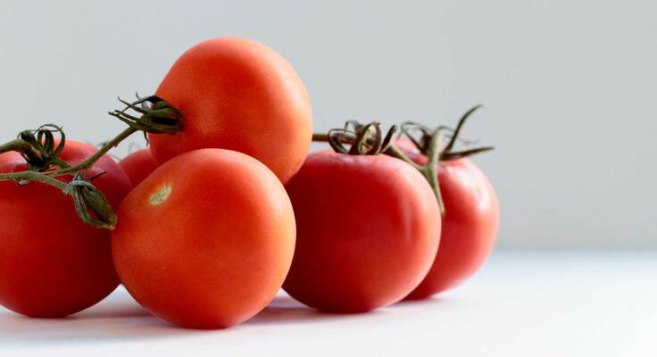 grappe de tomates